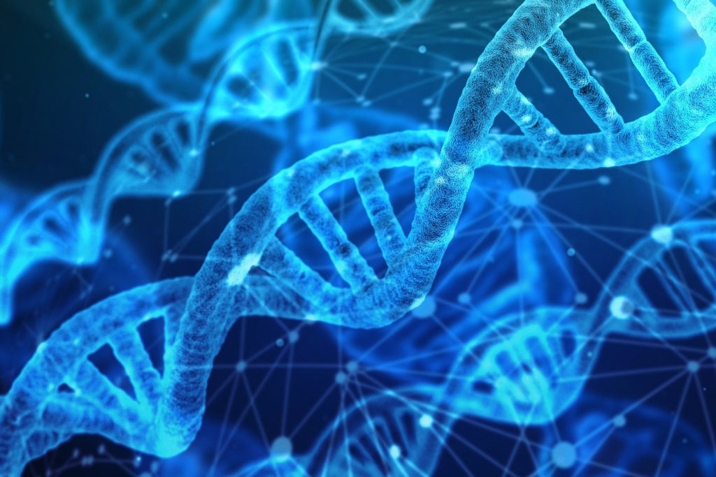 Catalog is creating DNA-based data storage platform.