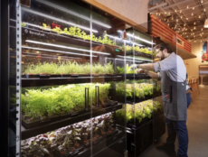 Farmshelf indoor farming system